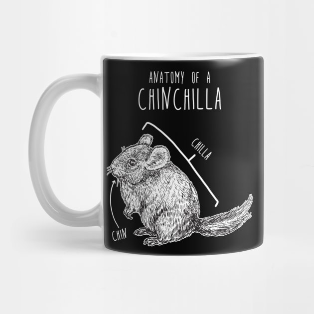 Chinchilla Anatomy by Psitta